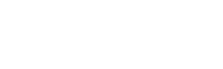 Brave Browser logo